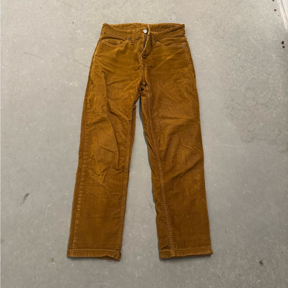 Patagonia Tan Organic Cotton Pants